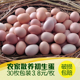 生态龙鑫草鸡蛋开产蛋头窝蛋初生蛋30枚原粮喂养孕妇月子吃初生蛋