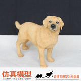 吉佳美厂家直销英国拉布拉多犬狗仿真动物模型树脂工艺品摆件玩具