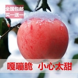陕西洛川红富士冰糖心原生态有机苹果新鲜水果特产10斤阿克苏苹果