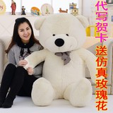 毛绒玩具熊布娃娃大号泰迪熊公仔抱抱熊生日礼物女生玩偶熊猫抱枕