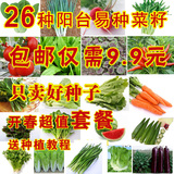 26种蔬菜种子套餐阳台庭院家庭菜籽春季四季播盆栽水果易种菜批发