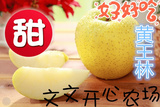 王林大连瓦房店特产农产品新鲜水果黄王林苹果8斤包邮大促销