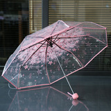 新款樱花透明伞 折叠粉色结实淑女浪漫女伞 花瓣唯美清新三折雨伞
