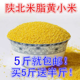 陕北延安米脂农家 黄小米 月子米 2015新米有机小黄米粥陕西特产