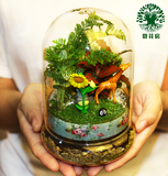 苔藓微景观生态玻璃瓶 办公桌面创意盆景绿植物DIY伴手生日礼物