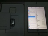 iPadmini4土豪金128G插卡4G版三网