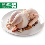 【易果生鲜】苏北散养老母鸡 鸡肉 950g/只 散养家禽 煲汤N X