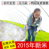 2015年新米东北黑龙江五常稻花香大米农家自产有机非转因5kg包邮