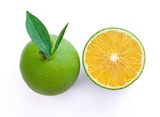 云南农家自产甜橙 褚橙之乡玉溪 绿皮冰糖橙子可榨汁 新鲜水果5斤