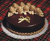 品牌蛋糕配送【红宝石蛋糕】-NO.4巧克力硬面-限送上海生日蛋糕F