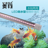 LED全光谱龙鱼缸灯水草水族箱潜水多肉植物生长补光防水灯管