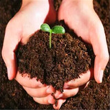 多肉植物种植土、君子兰种花育苗种菜通用全能营养土