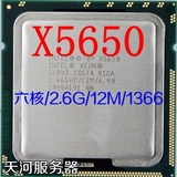 Intel/英特尔 XEON至强 x5650 服务器cpu 2.66G 12M  现货质保