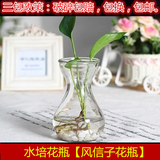 透明七彩玻璃花瓶高矮型塑料水培瓶水养风信子水仙花专用水培瓶