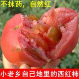 自家地里种的 新鲜农家西红柿 番茄 有机蔬菜 自然熟不催红