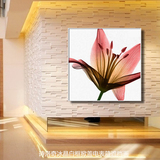 客厅装饰画 沙发背景墙挂画卧室无框壁画三联画现代简约冰晶花卉