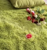 特价长毛丝毛地毯 客厅卧室茶几地毯飘窗毯 可爱儿童毯防滑可水洗