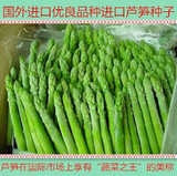 【天天特价】 “蔬菜之王” 芦笋种子 美国进口种子 原装300粒