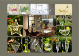 透明玻璃花瓶水培植物容器桌面墙壁悬挂式微景观创意生态花盆包邮