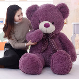 糖果小熊毛绒玩具抱抱熊泰迪熊猫玩偶公仔布娃娃生日礼物送女友
