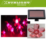 新款出口批发太阳能圣诞20头粉红色樱花 紫红光LED串灯装饰灯