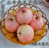 仿真水果蔬果批发 仿真苹果 假苹果 红苹果 食品道具模型厂家直销