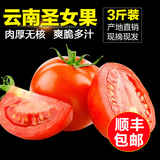 顺丰包邮 云南特产圣女果春季新品新鲜水果樱桃小番茄西红柿3斤
