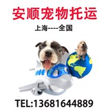 上海浦东 活体宠物狗狗猫咪兔子航空运托运汽运输代办 可上门提货