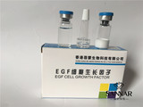 EGF细胞生长因子  纹绣专用修复原液 修复冻干粉 高端修复产品