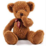 正版害羞熊毛绒玩具泰迪熊娃娃抱抱熊公仔恋人熊女生情人节礼物