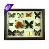新款昆虫真蝴蝶标本框工艺品礼品批发 家居装饰相框画框摆件挂件