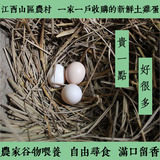 江西山村正宗农家自养土鸡蛋新鲜纯天然散养孕妇一户户收购50包邮