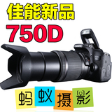 【0首付分期付】蚂蚁摄影Canon/佳能750D 套机 (18-55)单反相机