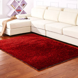 雪之恋 地毯韩国丝地毯客厅茶几卧室纯色地毯定做 黑红混合色