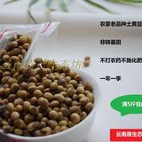 云南宣威农家自种老品种土黄豆 非转基因黄豆 打豆浆发豆芽500克