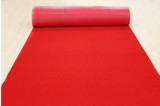 红地毯塑料丝圈地垫门垫迎宾垫进门防滑防水楼梯加厚任意剪裁
