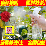 家用喷壶喷雾器花卉喷水壶园艺用品工具浇花小型高压气压式力塑料