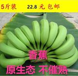 【原生态】现砍香蕉无催熟大芭蕉小米粉蕉海南奶蕉新鲜水果包邮