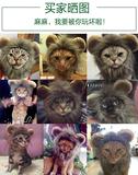 小狮子头套 猫帽子宠物变装帽狮子帽子变身搞怪猫的帽子 宠物帽子