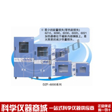 【上海一恒】真空干燥箱 微电脑控制带定时 烘箱正品保证一流品牌