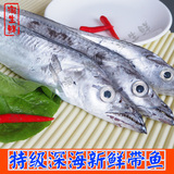 新鲜野生带鱼 东海特级海鱼鲜鱼黑眼刀鱼海鲜生鲜 半斤左右一条