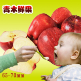 宝宝专用 小苹果 甘肃天水花牛苹果粉苹果 宝宝吃新鲜水果红蛇果
