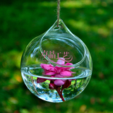 创意悬挂式玻璃花瓶 球形花瓶 透明装饰水培花器 家居婚庆装饰