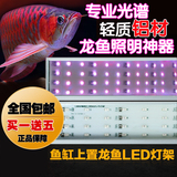 仟湖OF艾柯神奇龙鱼灯LED鱼缸灯架水族箱led灯金龙鱼灯红龙鱼灯管