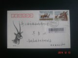 2003-12T.藏羚羊邮票原地首日挂号实寄封（青海省公司雕刻版）