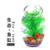 安福鳞办公桌创意鱼缸生态透明圆柱形玻璃金鱼乌龟缸水培器皿花瓶