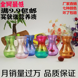 风信子绿萝塑料玻璃花瓶 彩色水培加厚型插花瓶 特价批发包邮
