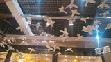 包邮小鸟橱窗挂件 创意装饰 工程软装空中吊饰 立体壁饰棚顶吊饰