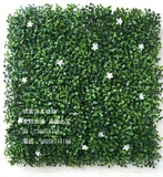 高仿真人造植物墙背景墙绿色藤蔓爬藤室内外草坪仿真绿植米兰带花