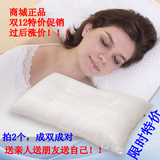 睡眠博士 决明子荞麦枕保健护颈枕头枕芯 明目养身清热降压枕包邮